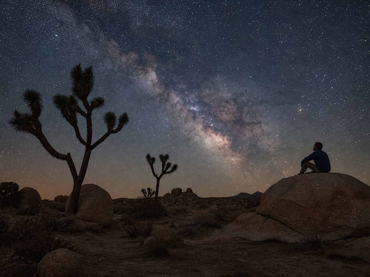 Joshua Tree after dark